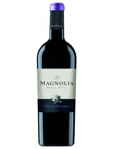 CABERNET SAUVIGNON IGT TRE...