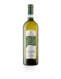 VERDICCHIO CASTELLI DI JESI...