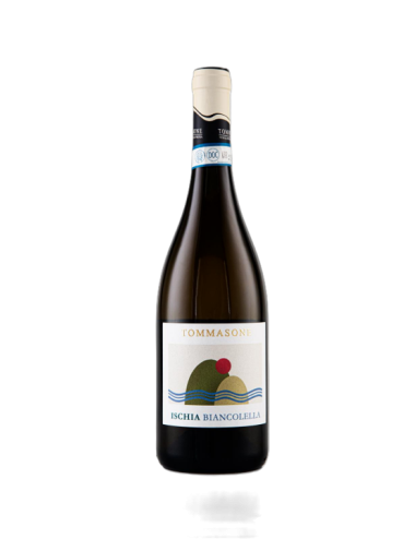 BIANCOLELLA ISCHIA DOC 2025...
