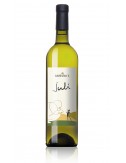 VERDICCHIO DEI CASTELLI DI...